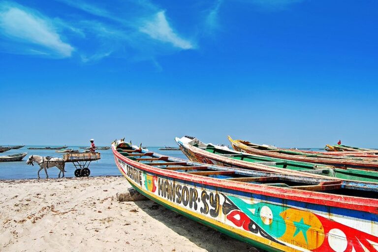Sénégal : Tension dans la distribution de l’essence pirogue : le Ministère agit et précise