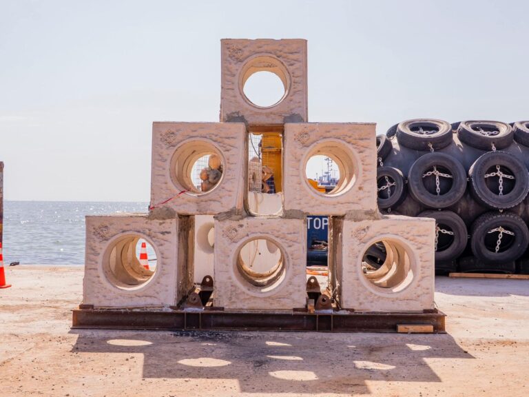 Saint-Louis : récifs artificiels, entre science et savoirs empiriques des pêcheurs: leur installation tarde